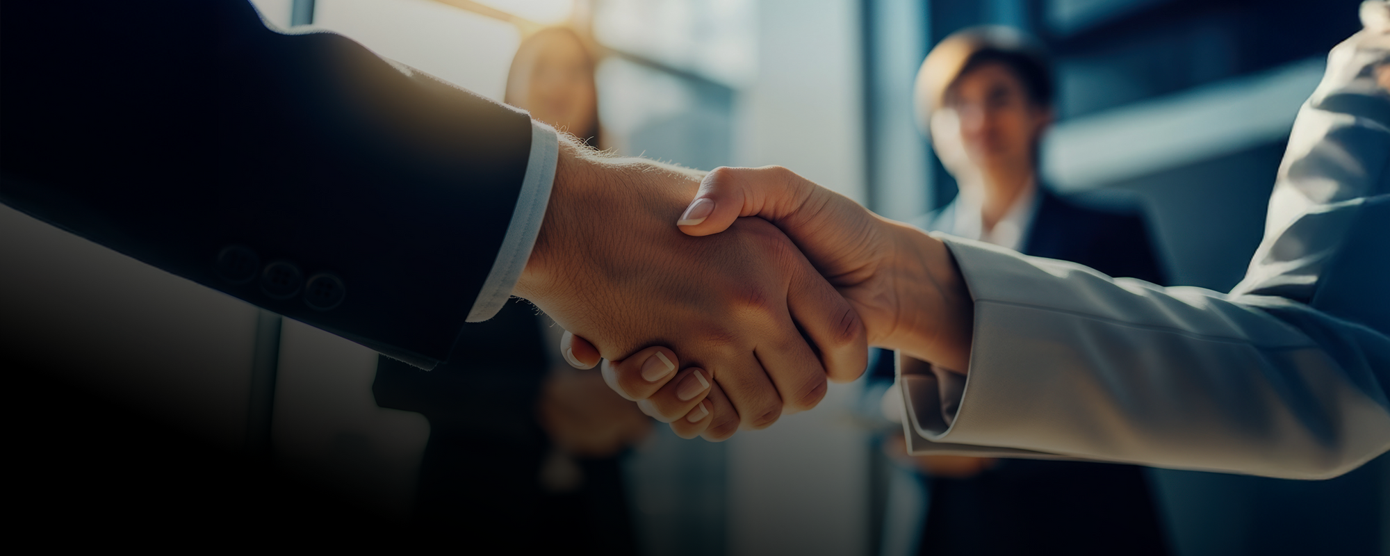 Discover & Understand